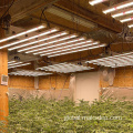 House Plant Led Grow Light Dimming Setup